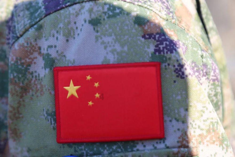 逃离天鹅森林
